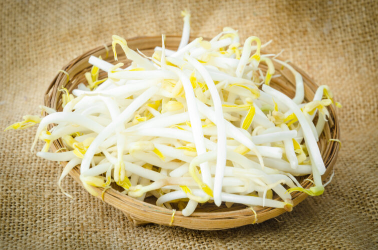 How to Sprout Mung Beans (Video)